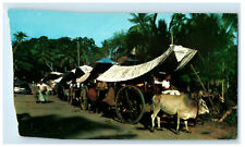 c1960s Bullock Carts Malacca Malaysia Vintage Unposted Foreign Postcard picture
