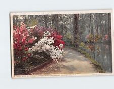 Postcard Walk by the Lake Magnolia-on-the-Ashley Charleston South Carolina USA picture