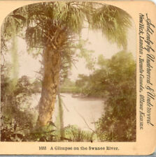FLORIDA, A Glimpse on the Swanee River--Underwood Stereoview T10 picture