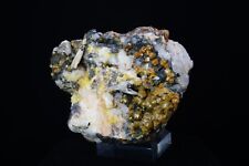 Mimetite var Campylite / Rare 9.5cm Mineral Specimen / Dry Gill Mine, England picture