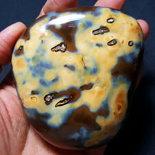386.2G Natural Genuine Flower skin Agate rock polished Madagascar F155+ picture