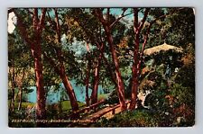 Pasadena CA-California, Rustic Bridge, Busch Garden, Souvenir Vintage Postcard picture