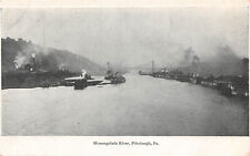 Monongahela River Pittsburgh Pennsylvania c1905 UDB POSTCARD picture