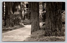 c1946 RPPC Distinctive California Highway Nice Handwriting VINTAGE Postcard 1c picture