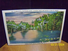 1940-50s Greetings From Manning SC S Carolina Cypress Trees and Water Lilies picture