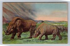 Denver CO-Colorado, Museum Of Natural History, Titan otheres Vintage Postcard picture