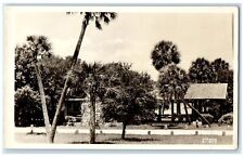 Picnic Pavillion Among Palms And Oaks Sarasota Florida FL RPPC Photo Postcard picture