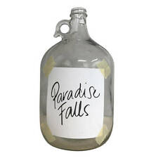 Paradise Falls in a Jar: Relive the Adventure with this UP-inspired Keepsake picture