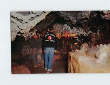 Postcard Indian Relic Room Indian Caverns Spruce Creek Pennsylvania USA picture