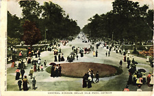 Central Avenue Belle Isle Park Detroit MI Undivided Postcard c1905 picture