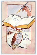 1907 Owl Be Wise Resolution No More Winter Chicago Millard IL RPO Postcard picture