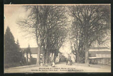 CPA Brain-sur-Allonnes, Avenue des Marronniers 1912  picture