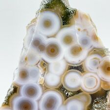 Collection  Amazing Orbicular Ocean Jasper Agate Druzy Slab Reiki Stone Gift 02 picture