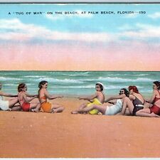 c1940s Palm Beach, FL Tug of War Cute Women Bathing Swimsuit Girls Postcard A177 picture