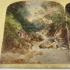 Antique Victorian Stereoview Card IRELAND View in the Dargle picture