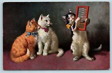 Postcard Anthropomorphic Cats Kittens Boulanger? c1909 Using Abacus AA9 picture