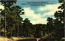 Vintage Postcard- H1408. PINE FOREST HWY 19 OZARKS, MO. UnPost 1930 picture