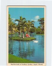 Postcard Feed the birds at Caribbean Gardens Naples Florida USA picture
