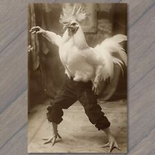 POSTCARD Rooster Chicken Mask Costume Man Strange Unusual Weird Creepy Fancy Fun picture
