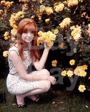 Jane Asher 10x8 Photo picture