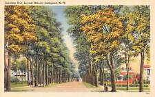 Lockport, NY New York  LOCUST STREET SCENE  Tree Lined~Homes  ca1940's Postcard picture