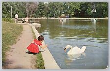 Louise and th Swan North Lake Park Mansfield Ohio Postcard 1960s View Chrome picture