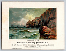 Eurich & Brooks American Sewing Machine Co. Victorian Trade Card Sea Cliffs picture