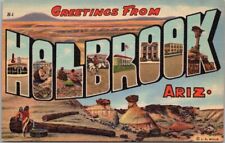HOLBROOK, Arizona Large Letter Postcard Petrified Forest Scene / Curteich Linen picture