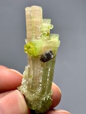 66 Cts Beautiful Terminated bi Color Tourmaline Crystals bunch  from Afghanistan picture