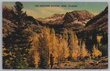 Montezuma Mountain Aspen Colorado Autumn Fall Vintage Linen  Postcard picture