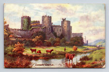 c1906 Conway Castle Llandudno Wales UK Raphael Tuck's Oilette Llandudno Postcard picture