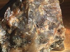 petrified wood agate chalcedony agatized lapidary raw rare collection 2lb 11oz picture