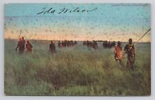 Lion Trackers Hunter, Signs of a Lion 1910 Antique Postcard picture