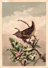 1880s-90s Bird on a Holly Tree Branch in Winter Trade Card picture