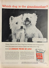 Vintage 1956 Gaines Dog Meal Which Highland White Is The Grandma Advertisement picture