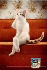2007 magazine AD for FRESH STEP Kitty Litter  Cute Tabby Cat in Distress  092123 picture