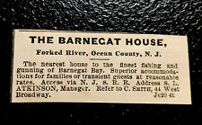 1878 The Barnecat House Hotel Advertising - Forked River - New Jersey picture