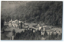c1910 Little Luxembourg Switzerland Castle Grundhof Unposted Postcard picture