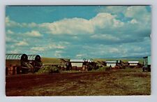 WA-Washington, Green Pea Harvest, Antique, Vintage Souvenir Postcard picture