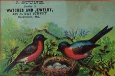1870's-80's J. Stunz Watches & Jewelry Colorful Wild-Birds Nest & Eggs #2 F95 picture