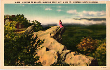 Postcard A Scene of Beauty, Blowing Rock Western North Carolina picture