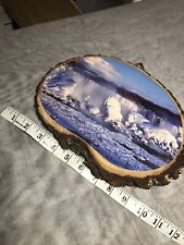 VTG  Niagara Falls Plaque Slice Live Edge Wood 11x8”Winter Blue White Marked picture