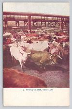 Stockyards Chicago Illinois c1910 Antique Postcard picture