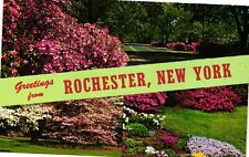 Vintage Postcard- ROCHESTER, N.Y. 1960s picture