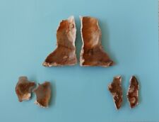 Florida Agatized Coral Fossils, 3 Pair, Chalcedony Agate Geodes #6 Fluorescent picture
