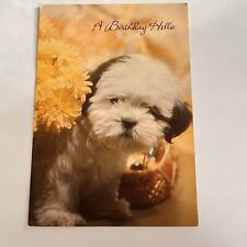 VTG BIRTHDAY HELLO Card Puppy Photo Ambassador Cards 1970s-1980s picture