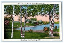 1937 Greetings From Sunbury Ohio OH, Nature's Superb Beauty Fascinates Postcard picture