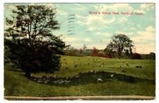 Connecticut Sheep at Keney Park Hartford Connecticut Postcard 1912 picture