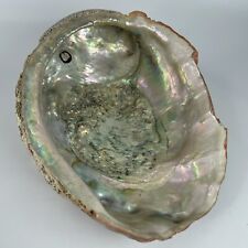 Vintage Estate Red Abalone Shell Large 8”x 6” 1lb 1oz Old Trinket Dish Display picture