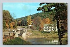 Pennsylvania Cook Forest State Park Clarion River Bridge Scenic Chrome Postcard picture